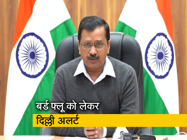 दिल्ली में बर्ड फ्लू को लेकर CM अरविंद केजरीवाल ने किया प्रेस कॉन्फ्रेंस, दी अहम जानकारी