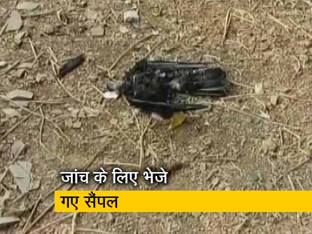 राजस्थान: झालावाड़ में 250 कौवों की मौत, बर्ड फ्लू की हुई पुष्टि