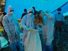 Can Avian Influenza Transmit Through Air? 7 Prevention Tips For Your Well-Being