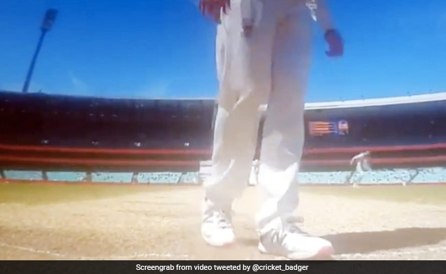 Ind vs Aus: ऋषभ पंत को आउट करने के लिए ब्रेक में स्मिथ ने पिच पर किया कुछ ऐसा - देखें Video