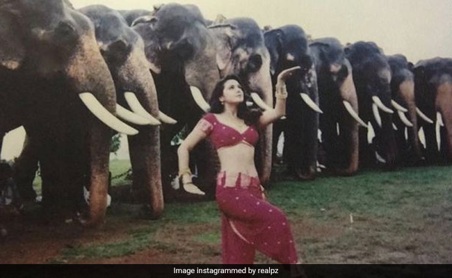 'दिल से' की शूटिंग के दौरान प्रीति जिंटा ने दिया था ऐसा पोज, एक्ट्रेस बोलीं- हाथी भी क्या सोच रहे होंगे...