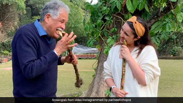 Parineeti Chopra Learns How To Eat Sugarcane, Sweet Video Will Make Your Day
