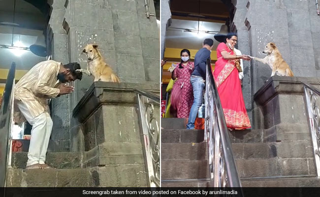 Dog Shakes Hands With Devotees Outside Temple In Adorable Video