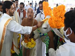 Amid Opposition Flak, Andhra Chief Minister's Cow Puja Today Amid Opposition Flak, Andhra Chief Minister's Cow Puja Today