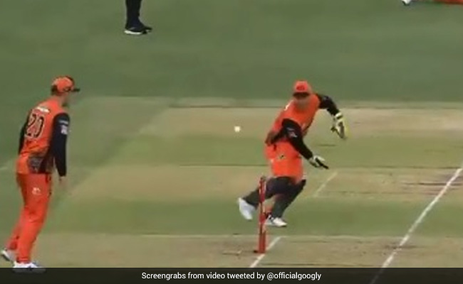 BBL 10: विकेटकीपर ने बल्लेबाज को किया अजीबोग़रीब तरह से रन आउट, देखें Video