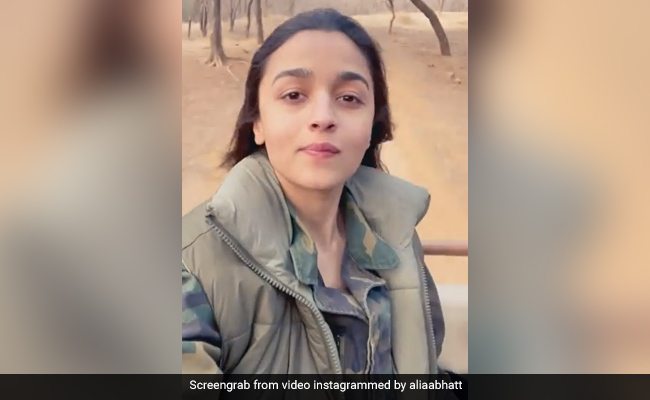 Flipping Through The Pages Of Alia Bhatt's Ranthambore Vacation