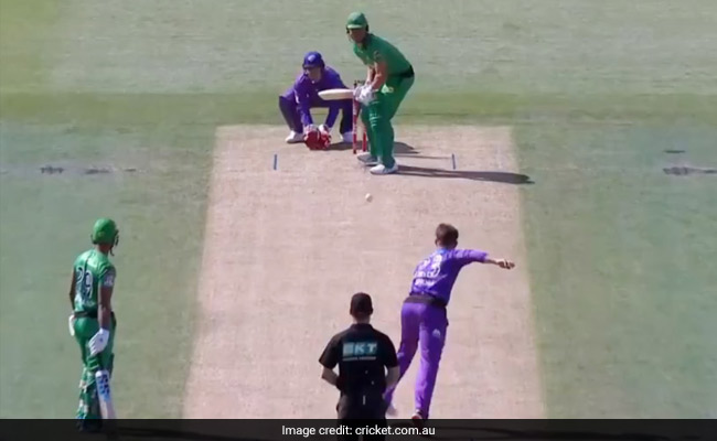 BBL 2020: दो मिनट के Video में देखें मार्कस स्टॉइनिस का आतंक, छक्के-चौकों की बारिश कर ठोक दिए 97 रन