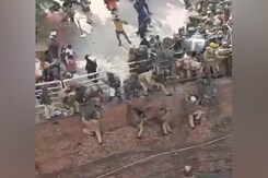 In Shocking Video, Delhi Cops Forced To Jump Off Wall To Escape Farmers At Red Fort In Shocking Video, Delhi Cops Forced To Jump Off Wall To Escape Farmers At Red Fort