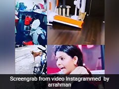 इस सिंगर ने छेड़े ऐसे सुर, कुत्ते-बिल्ली और इंसान सबने लगा दी दौड़, A R Rahman ने शेयर किया Funny Video