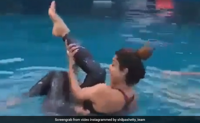 Shilpa Shetty पूल में कर रही थीं चिल, तभी यूं किया योग, वायरल हुआ Video