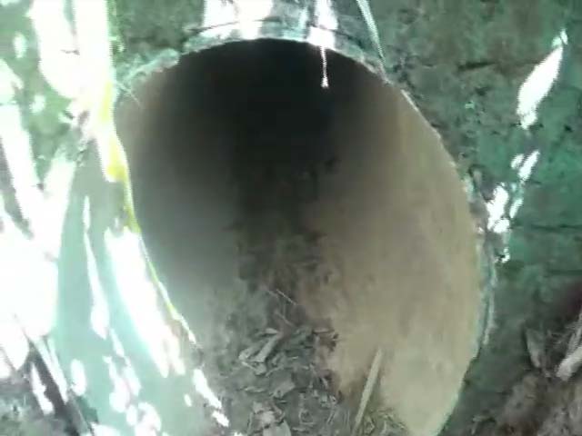 Assam Police Probing Culvert At Bangladesh Border Used As Illegal Route