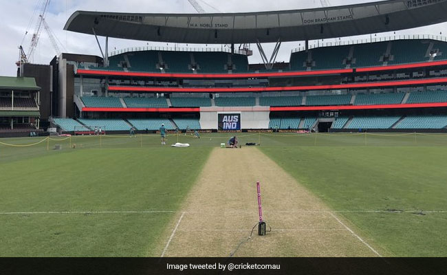 IND vs AUS: सिडनी में भारतीय टीम के लिए रणनीति के तहत बनवाई है ऐसी पिच, जानें क्या कहा क्यूरेटर ने