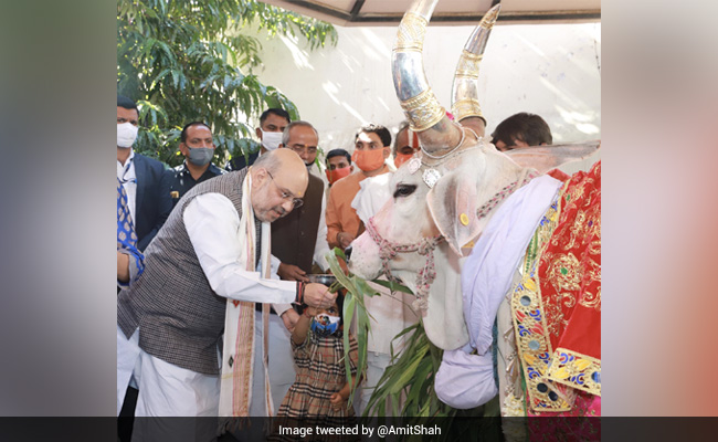 Amit Shah Offers Prayers At Ahmedabad Temple On Uttarayan