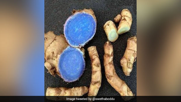 Ever Heard Of Black Turmeric? Viral Pic Of Unique <i>Haldi</i> May Surprise You