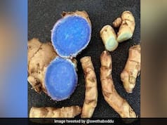 100 रोगों की एक दवा है काली हल्दी की एक कप चाय, जानें इसके फायदे और तासीर