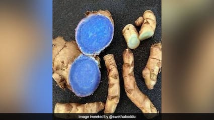 100 रोगों की एक दवा है काली हल्दी की एक कप चाय, जानें इसके फायदे और तासीर