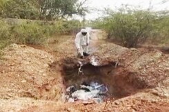 Over 250 Crows Dead In Rajasthan Due To Bird Flu, Alert Sounded Over 250 Crows Dead In Rajasthan Due To Bird Flu, Alert Sounded