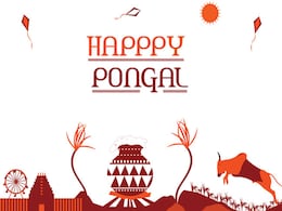 Pongal 2021: What Are The 4 Days Of Pongal Called? Find Out Here Pongal 2021: What Are The 4 Days Of Pongal Called? Find Out Here