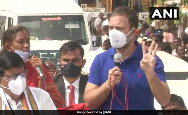 भारत के कृषि क्षेत्र को उद्योगपतियों को सौंप खत्म कर रहे हैं PM मोदी : राहुल गांधी