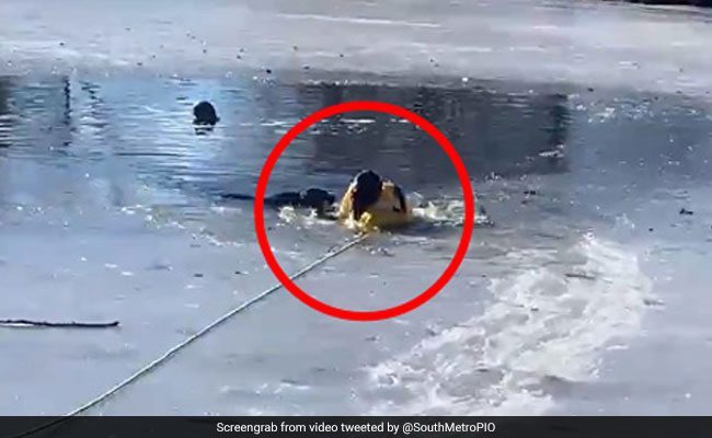 बर्फ से जमी नदी के अंदर फंसा हुआ था कुत्ता, फायरफाइटर बचाने के लिए कूद गया अंदर और फिर... देखें Video