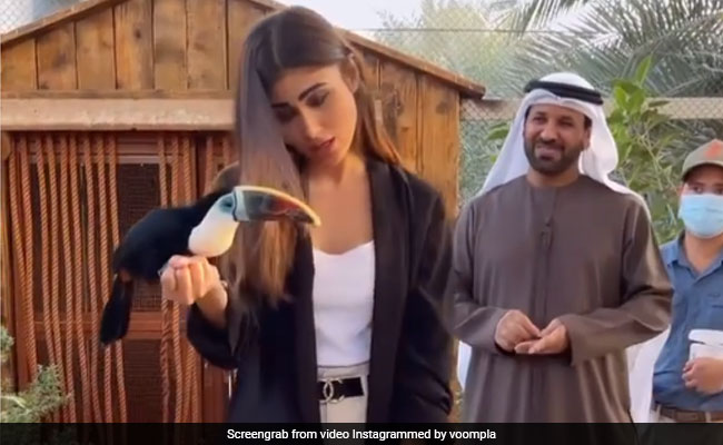 Mouni Roy के हाथ पर बैठे पक्षी ने मौका देखते ही मारी चोंच, चिल्ला पड़ीं एक्ट्रेस- No...देखें Video