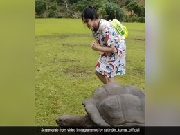 Adah Sharma ने पार्क में कछुए संग लगाई रेस, खूब वायरल हो रहा 'कमांडो गर्ल' का Video Adah Sharma ने पार्क में कछुए संग लगाई रेस, खूब वायरल हो रहा 'कमांडो गर्ल' का Video