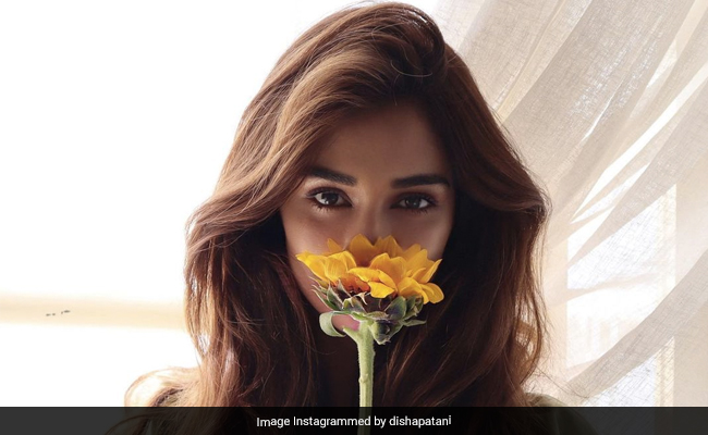 ICYDK: After Fitness, Disha Patani Is Giving Tutorials On This Subject