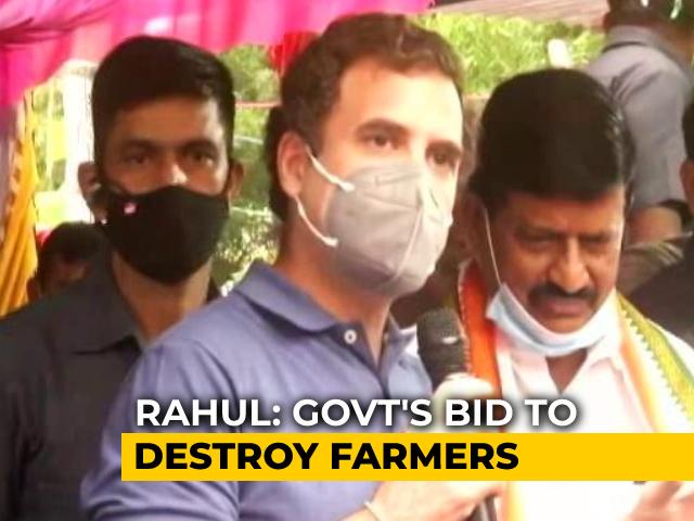 Pongal Lunch With Locals, Cow Worship: Leaders Head To Tamil Nadu