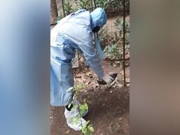 Amid Avian Flu Fears, Doctors Probe Crow Deaths At Delhi Park Amid Avian Flu Fears, Doctors Probe Crow Deaths At Delhi Park