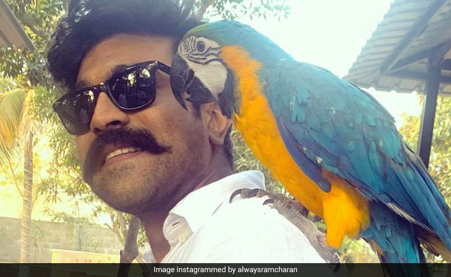 Ram Charan Is "Back In Action" After Testing Negative For COVID-19