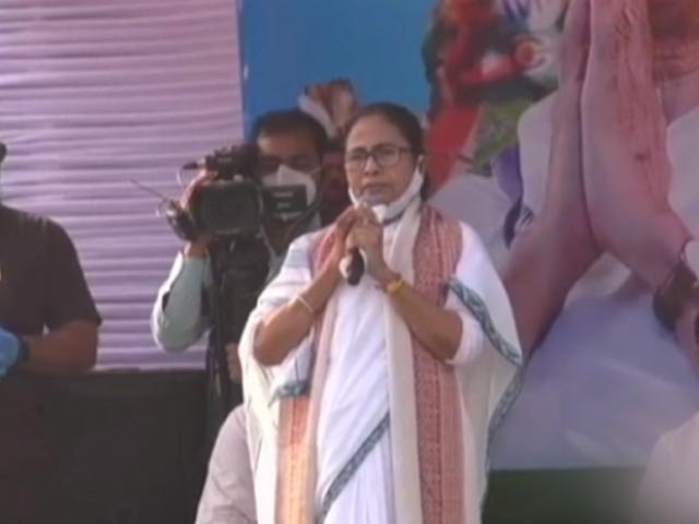 "As If Tagore Is Here": Mamata Banerjee Mocks PM's Long, White Beard