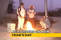 At 1.1 Degrees, Delhi Records Coldest New Year's Day In 15 Years At 1.1 Degrees, Delhi Records Coldest New Year's Day In 15 Years