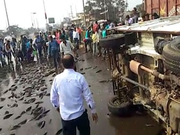 रायपुर: पिकअप वैन पलटी तो सड़क पर बिखरी मछलियां, आपदा में अवसर ढूंढ मछली चुराने लगे लोग रायपुर: पिकअप वैन पलटी तो सड़क पर बिखरी मछलियां, आपदा में अवसर ढूंढ मछली चुराने लगे लोग