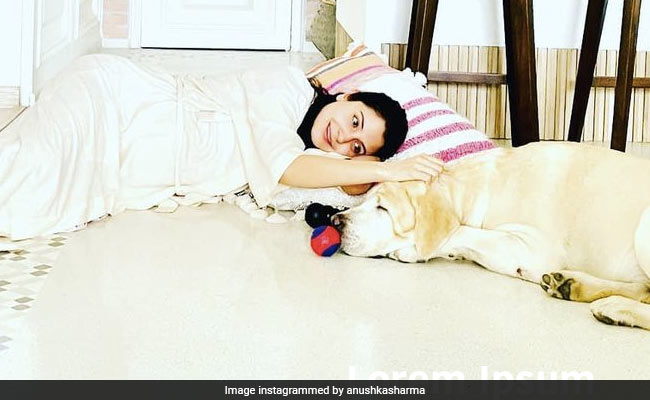 Mom-To-Be Anushka Sharma And Her Doggo Are "Serial Chillers In The House." Here's Proof