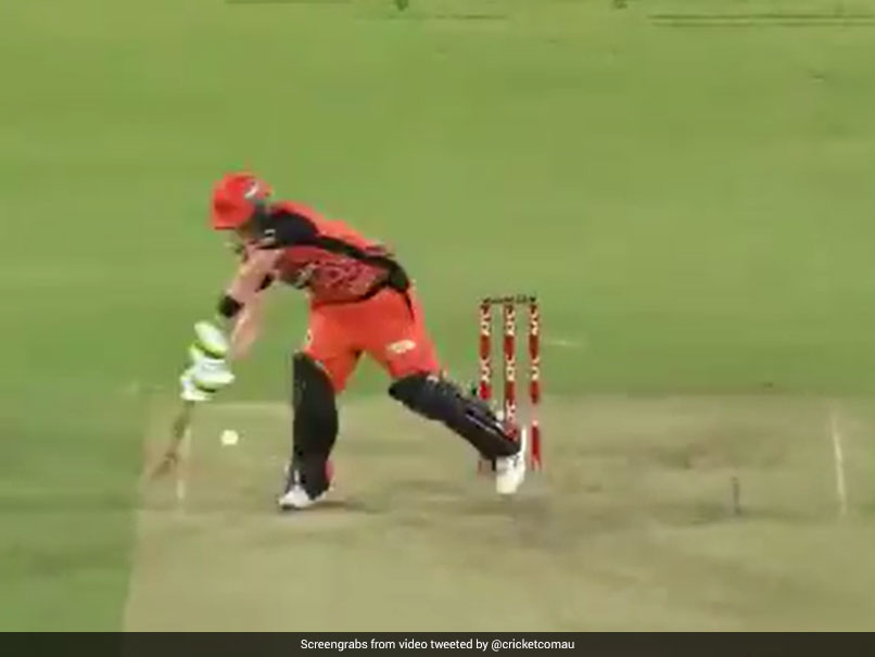 Watch: Josh Inglis Produces "The Most Outrageous Shot Of BBL 10" For Perth Scorchers In Playoff Match