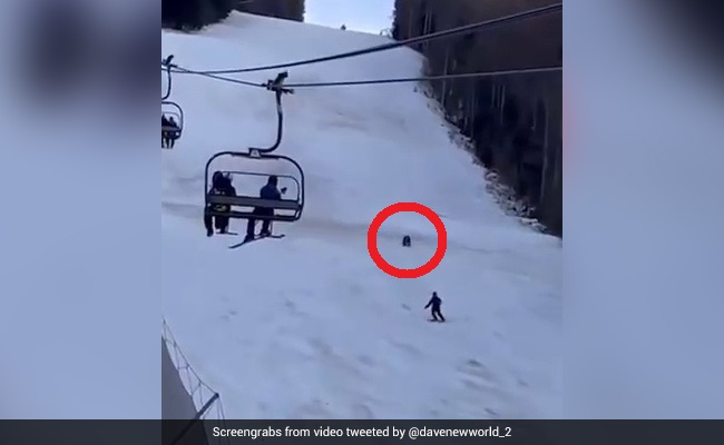 पहाड़ पर स्कीयर के पीछे पड़ा भालू, करीब पहुंचा तो लोग चिल्लाए - पीछे देखो - देखें Shocking Video