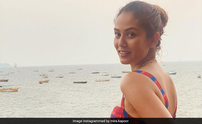 Shahid Kapoor Left This Comment On Mira Rajput's Dreamy Goa Pics And We Can't Even...