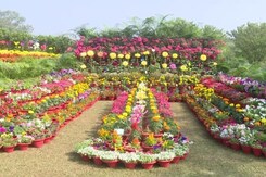 Flower Show Themed 'Covid Vaccination Drive' Attracts Nature Lovers Flower Show Themed 'Covid Vaccination Drive' Attracts Nature Lovers