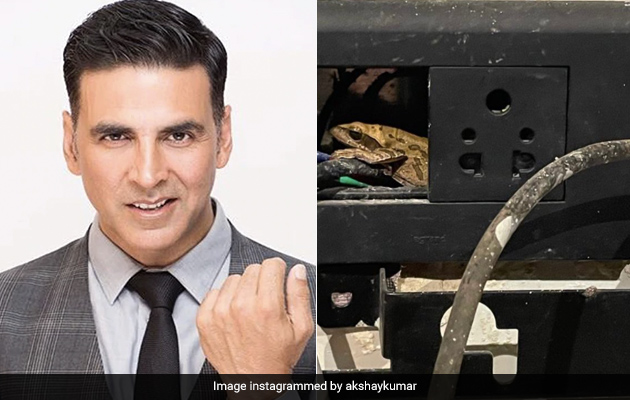 अक्षय कुमार के स्विच बोर्ड में घुस गया मेंढक, बोले- अपना फोन चार्ज करने के लिए ढूंढ़ रहा था लेकिन अब...