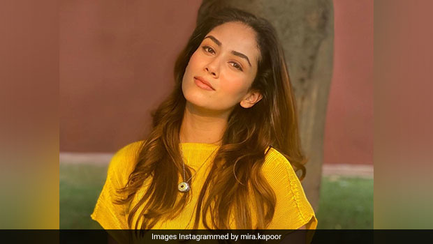 Mira Kapoor Organised A High-Tea Party For Kids; Here's What It Looked Like