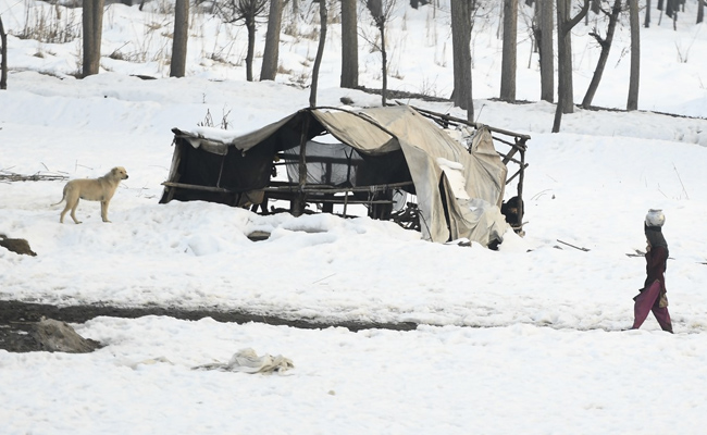 At Minus 8.8 Degrees, Srinagar Records Lowest Minimum Temperature In 30 Years: Officials