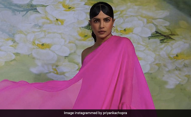 Priyanka Chopra ने करवाया फोटोशूट, पिंक कलर के अलग-अलग आउटफिट में खिंचवाई तस्वीरें- देखें Photos