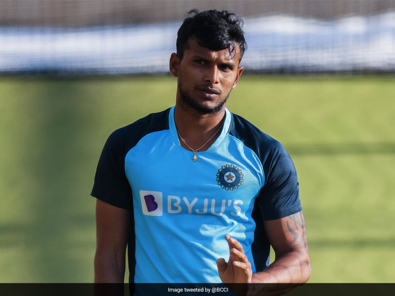 Australia vs India: David Warner "Not Sure" About T Natarajan's Ability To Bowl Back-To-Back Overs In A Test Match