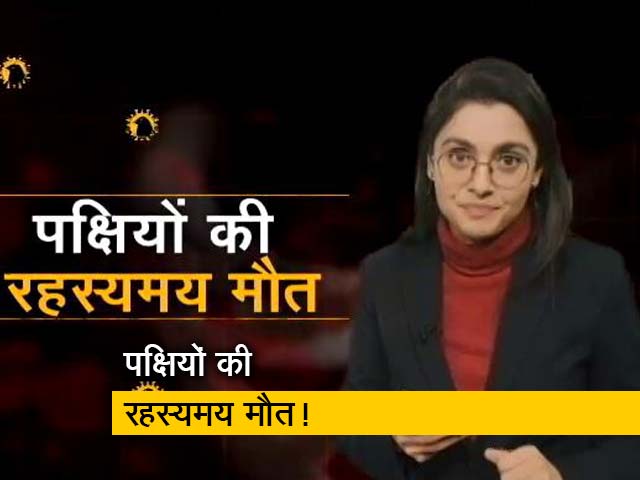 देश में बर्ड फ्लू की दस्तक, हजारों पक्षियों की मौत