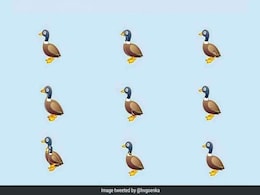 How Many Ducks Can You Count In This Pic Shared By Harsh Goenka? How Many Ducks Can You Count In This Pic Shared By Harsh Goenka?