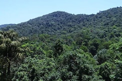 6 Migrant Workers Dead After Falling Into Pit In Meghalaya Forest 6 Migrant Workers Dead After Falling Into Pit In Meghalaya Forest