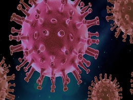 New China Swine Fever Strains Point To Unlicensed Vaccines: Experts New China Swine Fever Strains Point To Unlicensed Vaccines: Experts