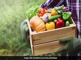 Weight Loss: कौन से हाई फाइबर फूड्स पेट की चर्बी और बॉडी वेट घटाने में प्रभावी हैं? जानें क्यों बेहद जरूरी है फाइबर Weight Loss: कौन से हाई फाइबर फूड्स पेट की चर्बी और बॉडी वेट घटाने में प्रभावी हैं? जानें क्यों बेहद जरूरी है फाइबर