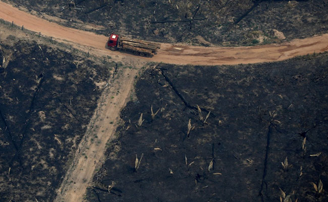 Global Temperatures In 2020 Among Highest On Record: World Meteorological Organization