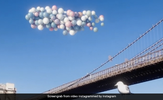 आपको हैरान कर देंगे हवा में उड़ते ये एनिमेटेड गुब्बारे, Video देख लोग बोले- ‘मैजिक इन द एयर’